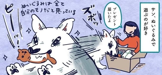 狼犬・サンちゃんのぬいぐるみの遊び方とは…