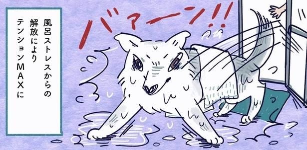 riyaさんにインタビュー