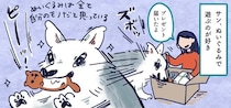 届いたぬいぐるみは即、破壊…狼犬“サンちゃん”のダイナミックなおもちゃ遊びが話題に「いつまでもあそんでほしい」【漫画】