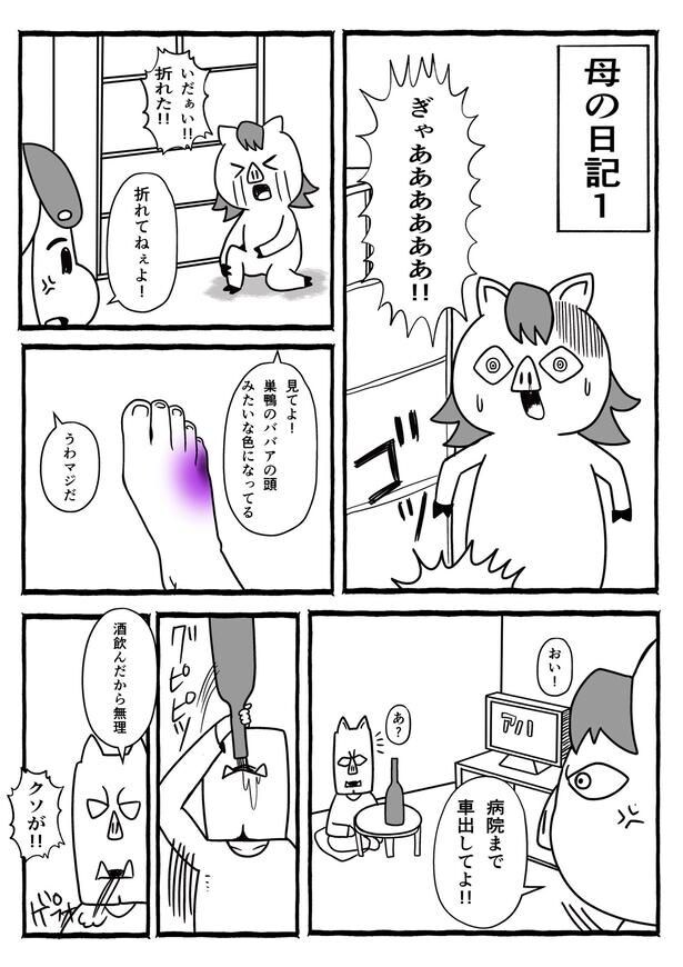 『人の話を聞かないのに思い込みだけは強い母の日記』より