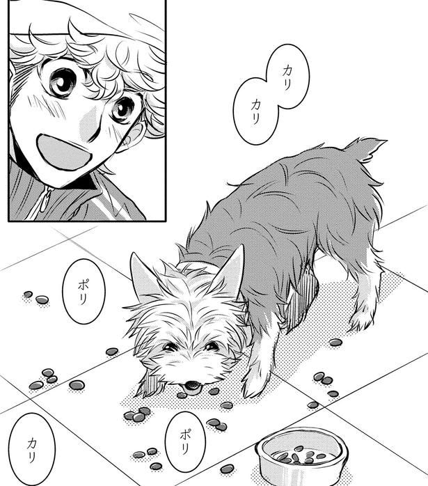 【漫画】「素人だからこそ救える命がある!?」拒食に陥った犬を救った、知識ゼロの青年が思いついた“まさかの奇策”とは…?