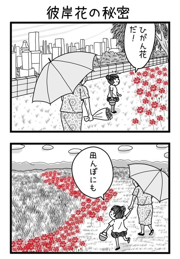 散歩中に彼岸花と遭遇する子ども時代の作者と祖母