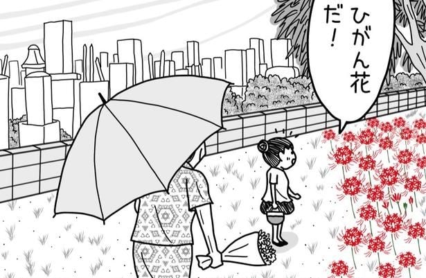 なぜ彼岸花は墓地や田んぼに咲いているの？ 昭和を生きた作者の祖母による言葉が「勉強になった」と話題【漫画】