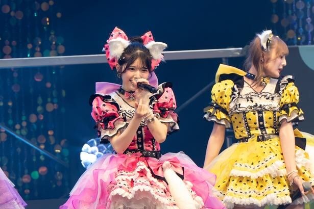 「TIF2026」HEAT GARAGEに登場したfav me