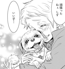 【漫画】獣医師×トリマー×トレーナーの最強チームが集結！絶望の淵にいた犬が奇跡の変身を遂げるまで
