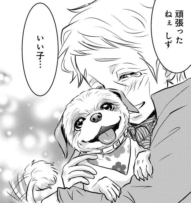 【漫画】獣医師×トリマー×トレーナーの最強チームが集結！絶望の淵にいた犬が奇跡の変身を遂げるまで