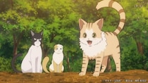 ＜猫と竜＞モシャモシャが率いる猫たちが畑仕事　第6話「猫じゃらしの夜」あらすじ＆先行カット公開