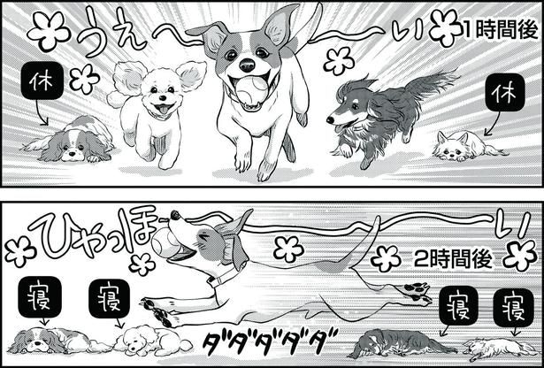 【漫画】鉄製のケージすら噛みちぎる!? 規格外の体力を持つ犬に唖然とする飼い主へ、プロが伝授した「エネルギー発散の極意」