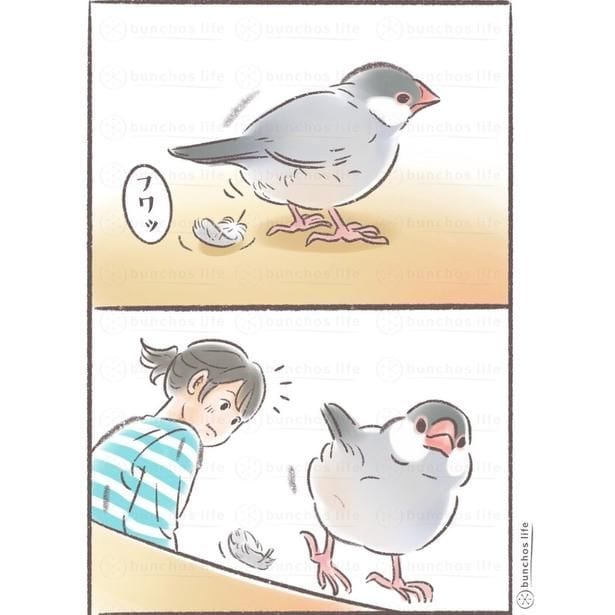 『立体的な羽を見てこれが鳥のフワフワを形成してるのかと思いを馳せる』(1/2)