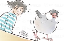 文鳥を飼う作者が新たな気づき？お尻からひとつの羽が抜け落ちる様子に「触ってみたい」と反響【漫画】