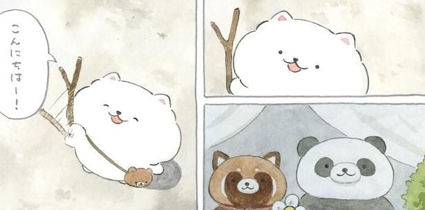 窓辺のぬいぐるみに挨拶するぽんちゃん
