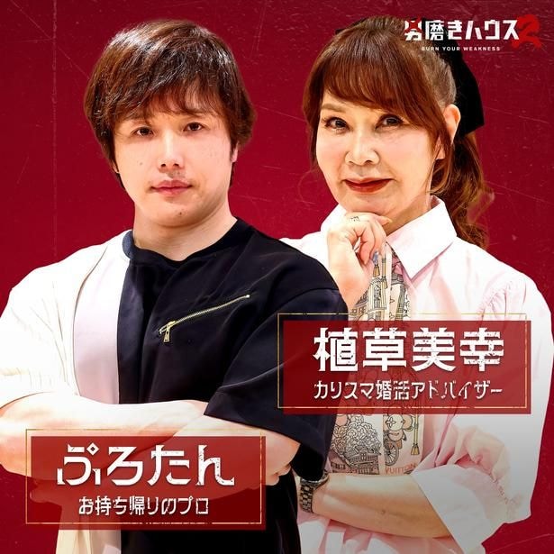 男磨きハウス