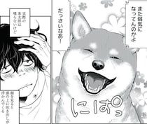【漫画】売れない漫画家の人生を変えてくれた相棒の柴犬。笑い、励まし、共に生きた“奇跡の日々”を襲った、あまりにも切ない運命