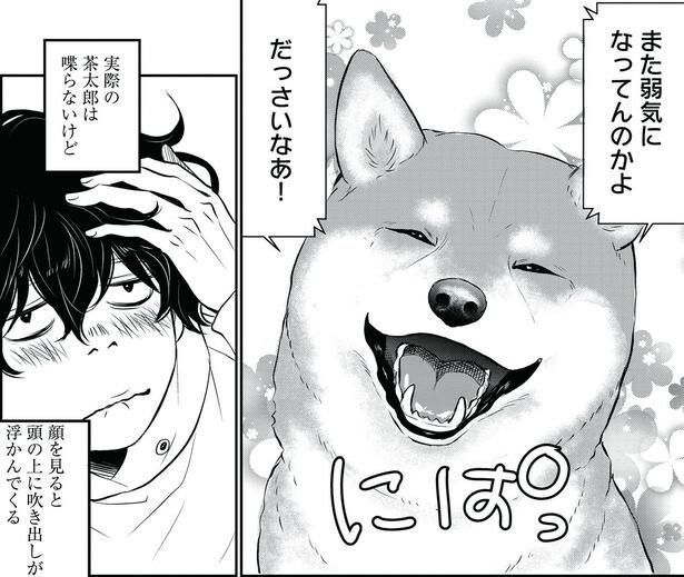 【漫画】売れない漫画家の人生を変えてくれた相棒の柴犬。笑い、励まし、共に生きた“奇跡の日々”を襲った、あまりにも切ない運命