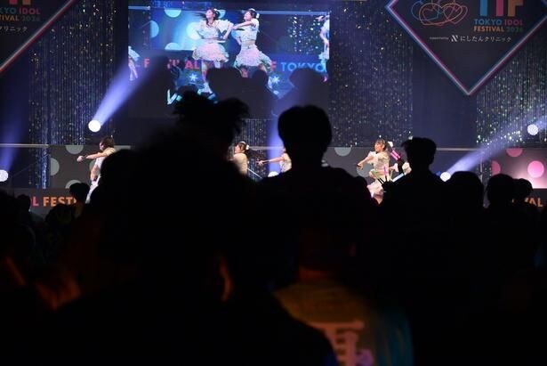 手羽先センセーション TIF2026 8月1日HEAT GARAGE(Zepp DiverCity)より