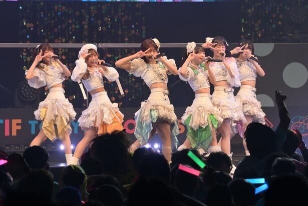“体力お化け”手羽先センセーション「全員飛べー!」TIF2026で大暴れ、圧倒的エネルギーをぶつけた2日間の記録