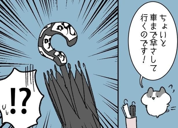傘の持ち手に大量の“呪”の文字が…