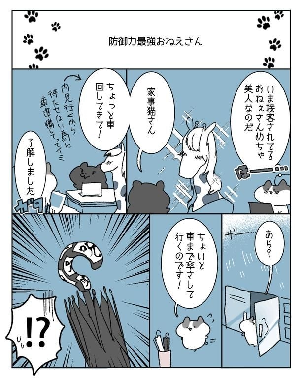 『防御力最強おねえさん』(1/4)