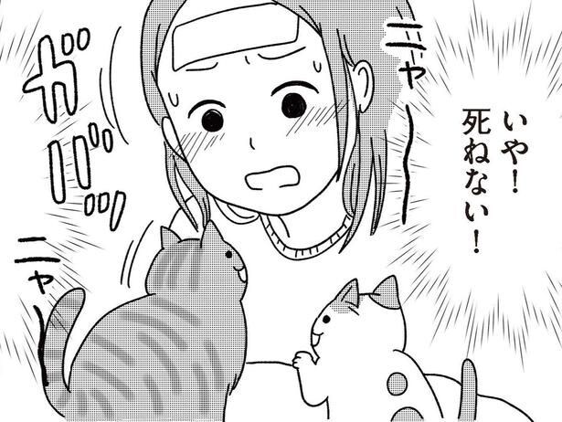 【漫画】私が死んだら猫はどうなる? 猫2匹と暮らす40歳独身女性が病気になって決意したこと