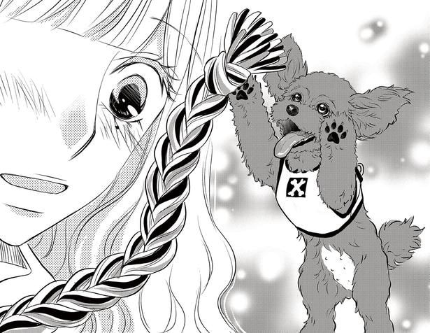 【漫画】「ねえ、遊ぼうよ!」凶暴性の裏に隠されていた健気なメッセージ。初めて愛犬の“本音”に触れた飼い主の涙