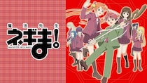 10歳の先生と31人のヒロイン…「魔法先生ネギま！」をABEMAで全話無料一挙放送　第1期・第2期で作風が激変した異端のアニメをひもとく
