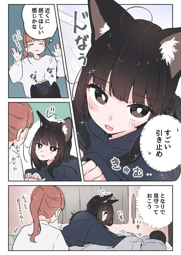 『猫が寝るとこ見ててね』より