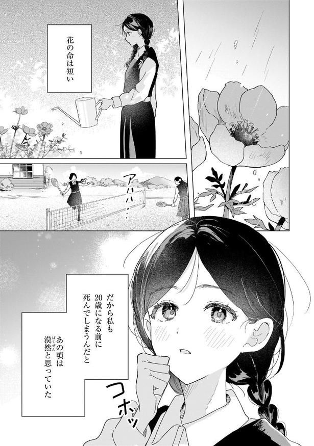 『ワンピースと春雷』(1/44)