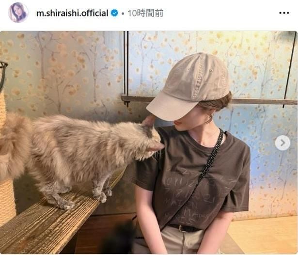【写真】白石麻衣、Tシャツ×キャップのカジュアルコーデで猫に癒される