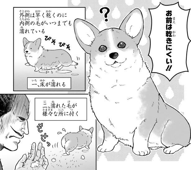 『殿と犬』