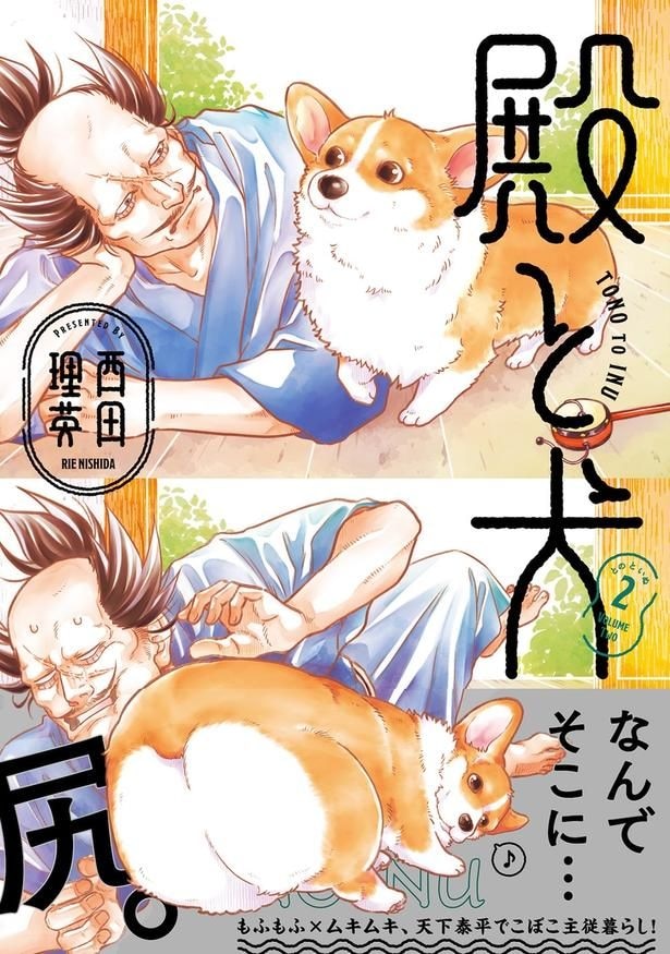 『コーギーは雨にも負けず外に出たい』（1／15）