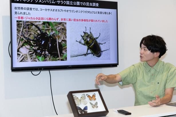 昆虫ハンターの牧田習