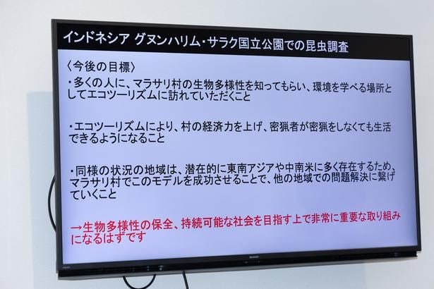 昆虫ハンターの牧田習が提言する、昆虫を用いたエコツーリズム
