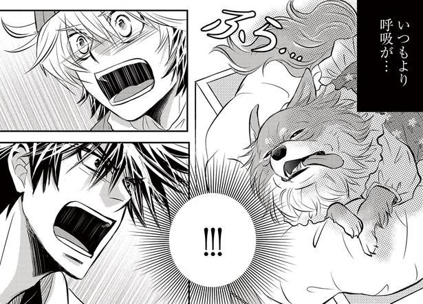 【漫画】「生きたぬいぐるみを並べてるだけ」自称・犬好きの大御所女優にプロトレーナーが激怒。新人アイドルが流した涙と魂の叫び