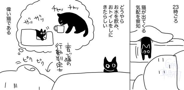 『猫引越し烈伝 第20話』より