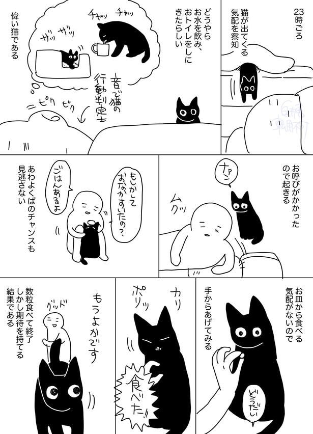 『猫引越し烈伝 第20話』