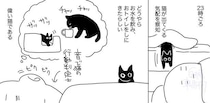 夜中に突然の“呼び声”…頼みごとをする愛らしい猫と、察して行動する飼い主とのひと幕に癒される【漫画】