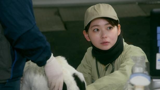 山田杏奈主演、生き物の“いのち”と向き合いその意味を問う「リラの花咲くけものみち2」が開幕