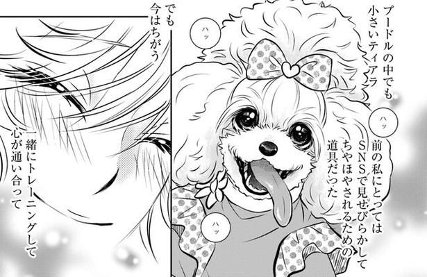 【漫画】「犬に服を着せるなんて虐待」愛犬との幸せなSNSが一転。理不尽な批判コメントの嵐に、飼い主の心は擦り切れていき…