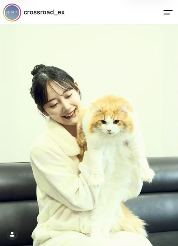 【写真】堀未央奈、猫を抱きかかえ優しく見つめる