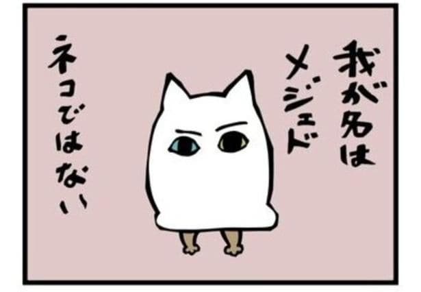 『ネコではないぞ メジェドさま』より