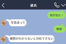 部屋に虫が出てパニックでメッセージした私に、彼が返してきた一言が冷静すぎた話
