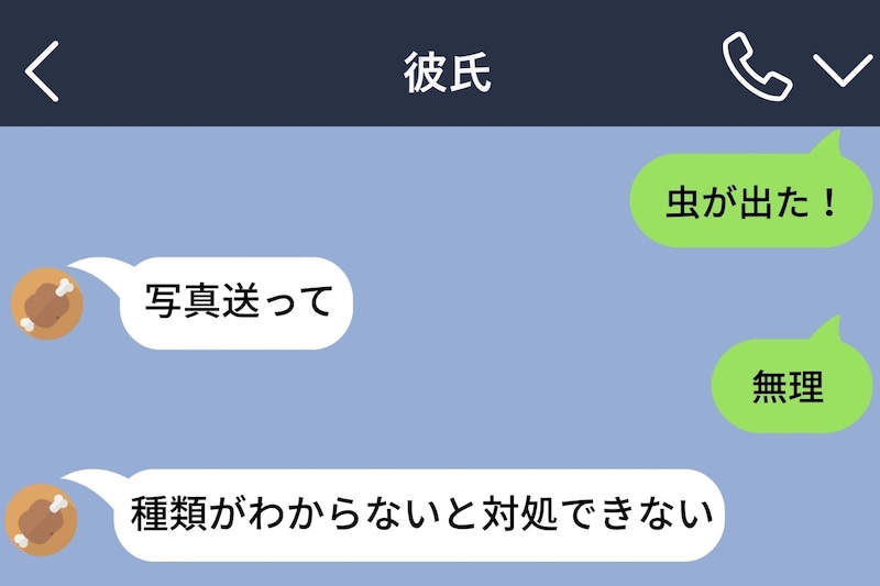 部屋に虫が出てパニックでメッセージした私に、彼が返してきた一言が冷静すぎた話