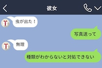 「虫が出た！」と泣きついてきた彼女に最善のつもりで返信した俺が、最後の一文で動けなくなった夜