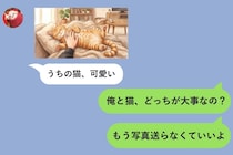 「俺と猫、どっちが大事？」彼女からの猫写真に思わず返してしまった夜、自分が見えなくなった話