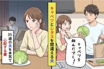「キャベツ買って」と頼んだ夫がレタスを買ってきた。35歳の頭の中が本気で心配になった話