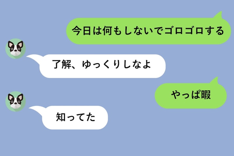 「今日は何もしないでゴロゴロする」と送った5分後に「やっぱ暇」→彼の「知ってた」にイラッとした話