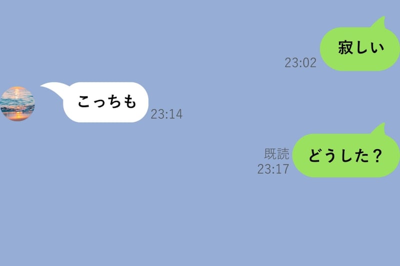 「寂しい」に「こっちも」と返ってきた夜。心配で「どうした？」と聞いたら既読が止まりました