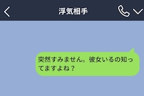 「彼女いるの知ってますよね？」浮気相手にDMした私→返ってきた返信で、彼の嘘が全部つながった