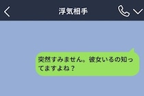 「彼女いるの知ってますよね？」浮気相手にDMした私→返ってきた返信で、彼の嘘が全部つながった