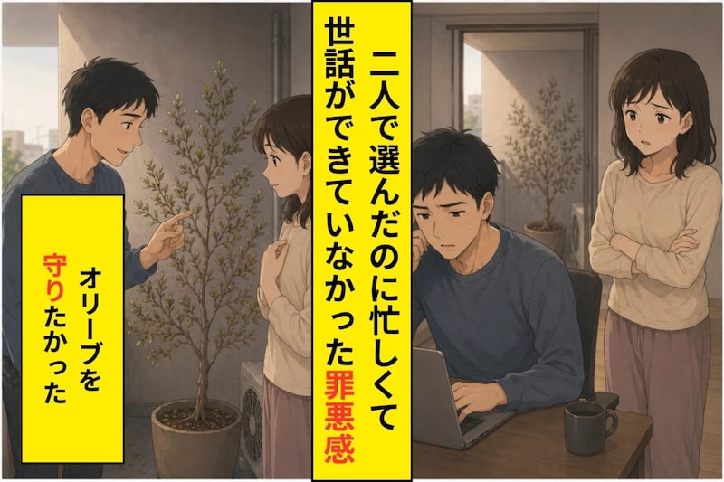 彼女と選んだオリーブが枯れかけていた。理由も言えずに隅へ移した僕が、本当に伝えたかったこと